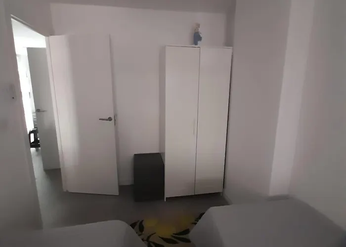 Gaviota Blanca